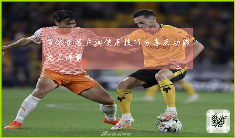 华体会客户端使用技巧分享及功能亮点详解