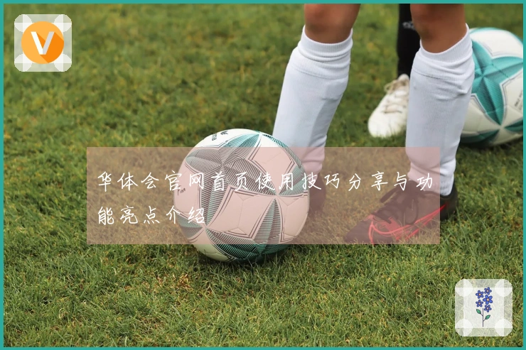 华体会官网首页使用技巧分享与功能亮点介绍